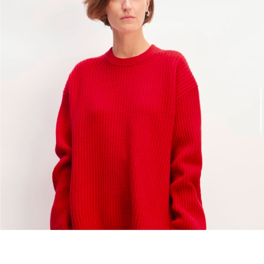 Everlane Felted Merino Oversized Crew Sweater